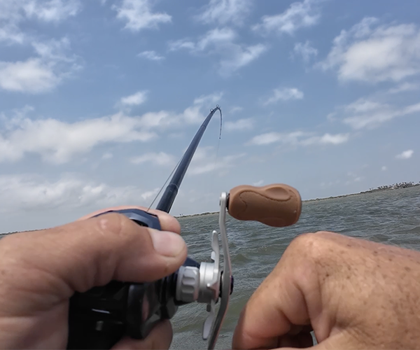 venatura reel