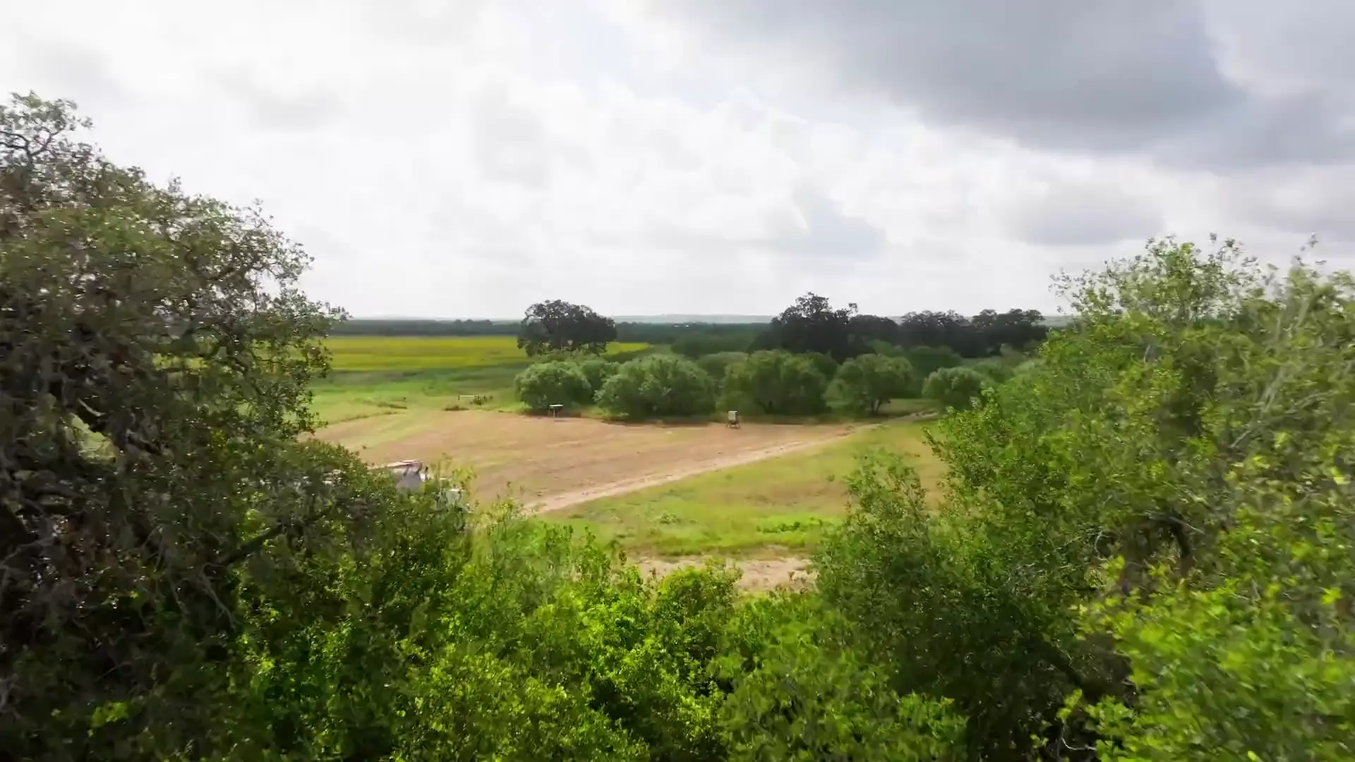 South Texas pasture and food plot at Mumme's